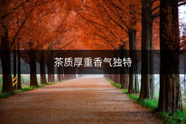 茶質(zhì)厚重香氣獨特