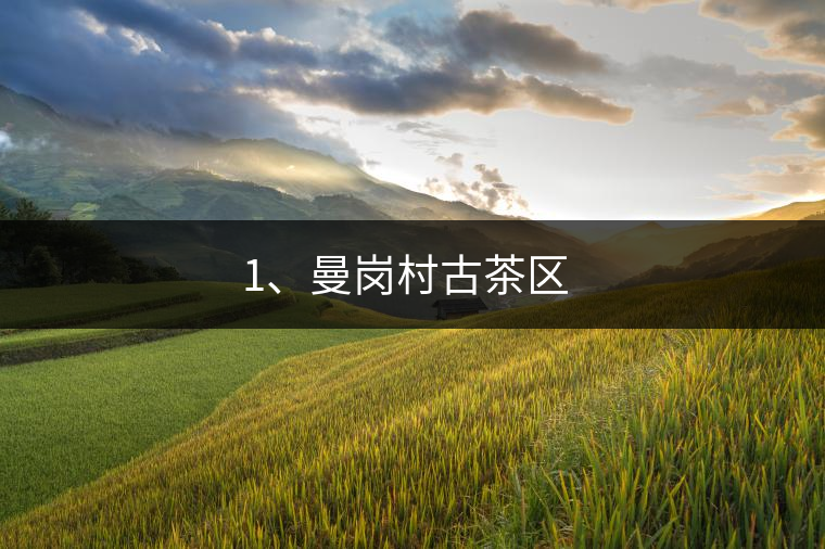 1、曼崗村古茶區(qū) ?
