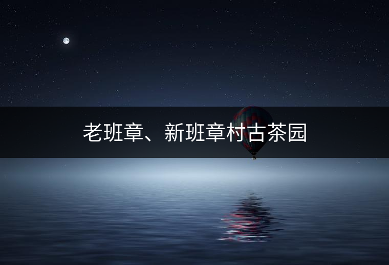 老班章、新班章村古茶園