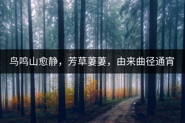 鳥鳴山愈靜，芳草萋萋，由來曲徑通宵漢。