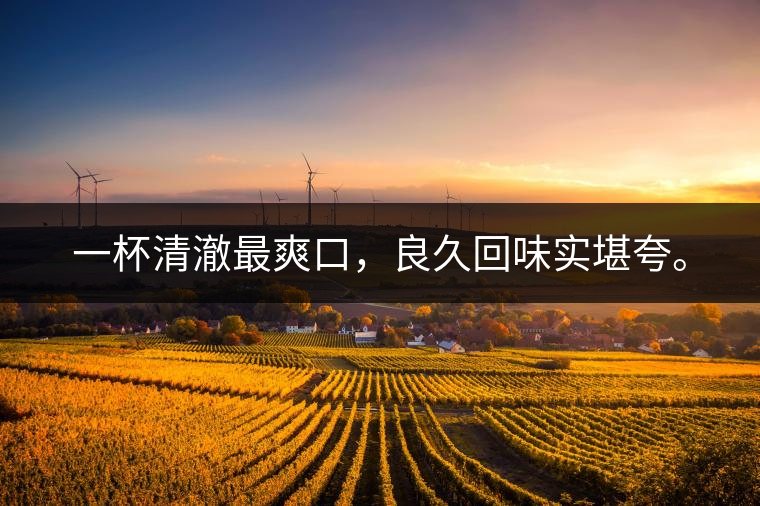 若能一日車船至，從此美名滿天涯。