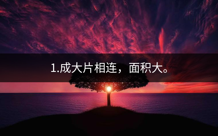 1.成大片相連，面積大。