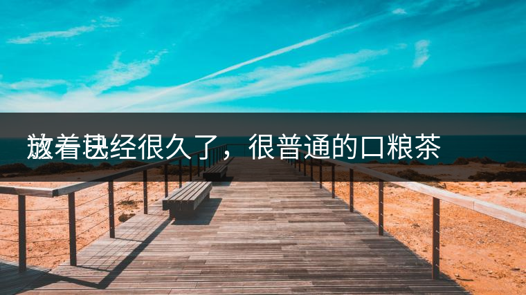 這一塊
放著已經(jīng)很久了，很普通的口糧茶，煙味很重，但回甘也可以，隨意喝喝吧。