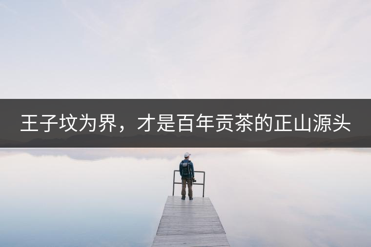 王子墳為界，才是百年貢茶的正山源頭