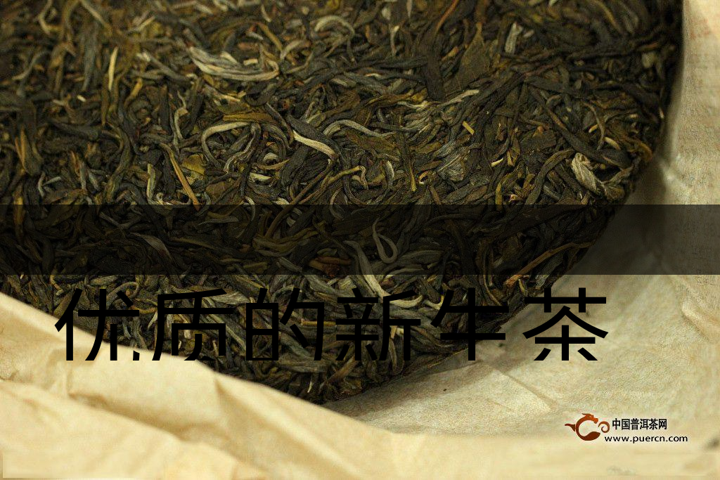 優(yōu)質(zhì)的新生茶是什么樣的？