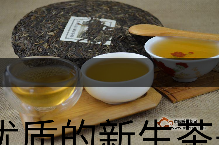 優(yōu)質(zhì)的新生茶是什么樣的？-1