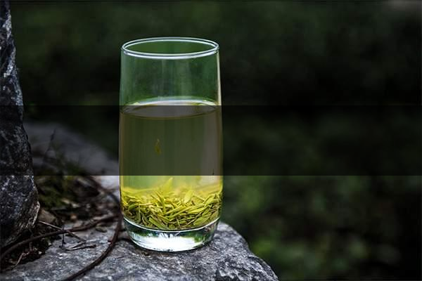 pick春茶攻略！