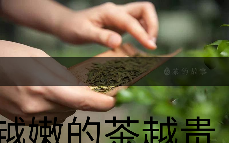 越嫩的茶越貴，但越貴的茶就越好嗎？