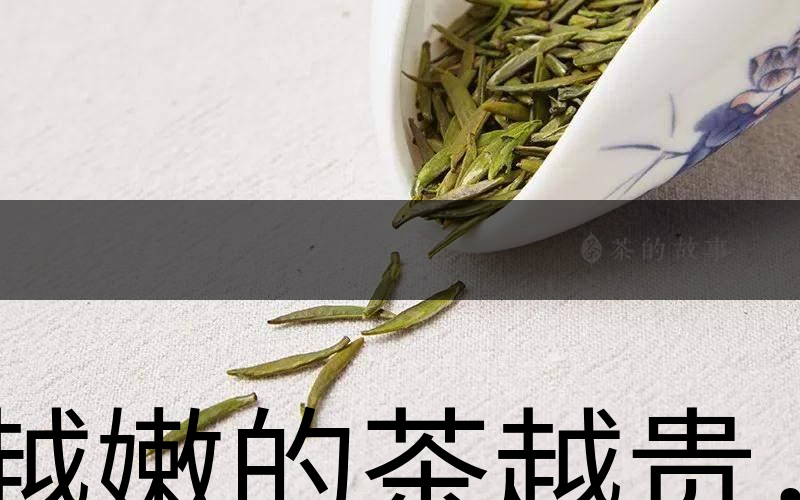 越嫩的茶越貴，但越貴的茶就越好嗎？-1