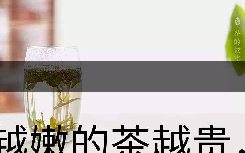 越嫩的茶越貴，但越貴的茶就越好嗎？-2