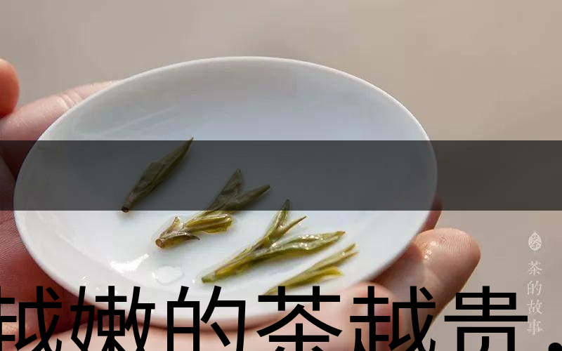越嫩的茶越貴，但越貴的茶就越好嗎？-3
