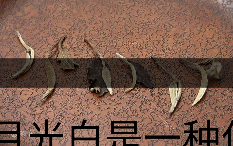 月光白是一種什么茶？-1