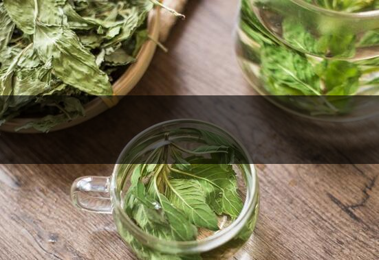 怎樣用薄荷炒茶葉 怎樣用薄荷炒茶葉