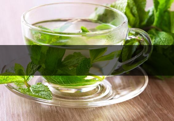 怎樣用薄荷炒茶葉-1 怎樣用薄荷炒茶葉-1