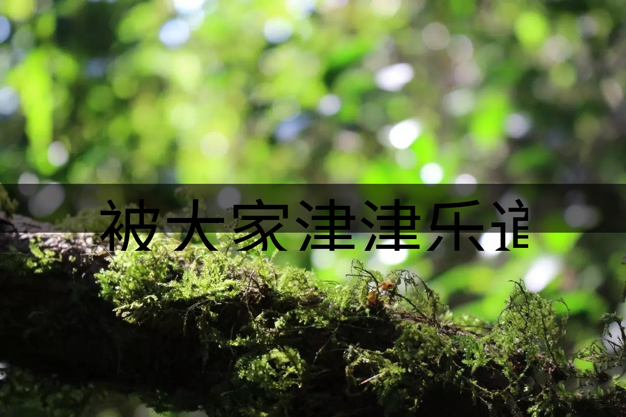 被大家津津樂道的森林茶，你知道是什么？-8-1