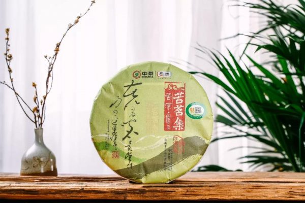 中茶苦涼 | 干倉陳化，湯厚味苦