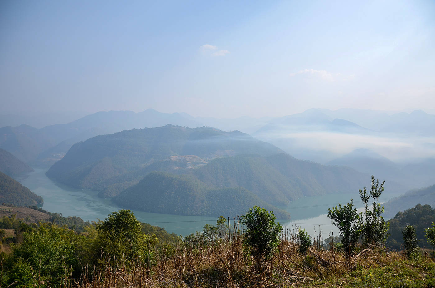2021年白鶯山古樹(shù)秋茶，佛茶有什么魅力？