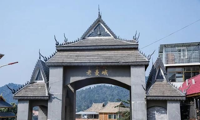 2021年老曼峨古樹(shù)秋茶特點(diǎn)？