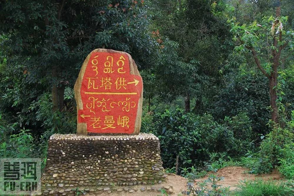 2021年老曼峨古樹秋茶價格多少？