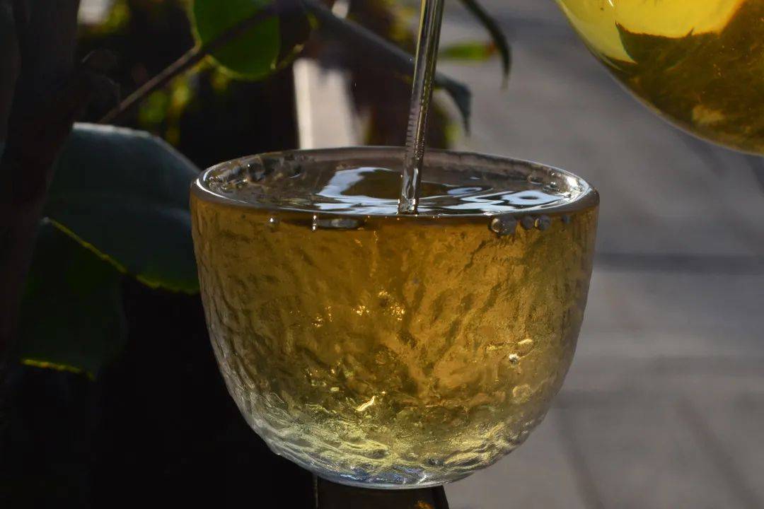 2021班章茶區(qū)壩卡竜古樹秋茶口感是什么？