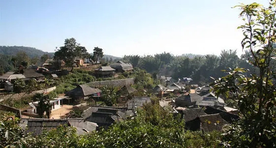 2021年班章茶區(qū)壩卡竜古樹秋茶多少錢一公斤？