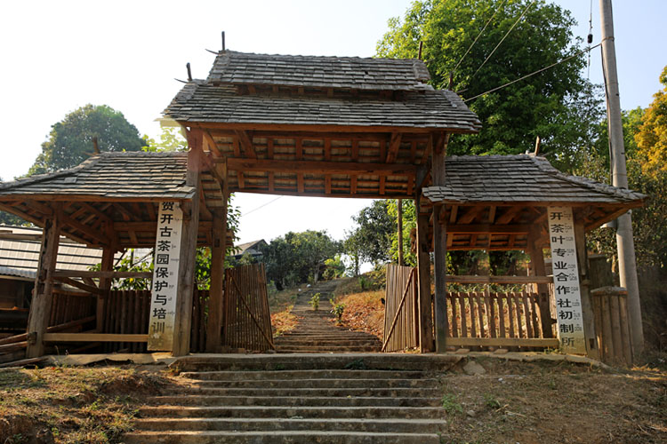 2021年賀開古樹秋茶特點(diǎn)？