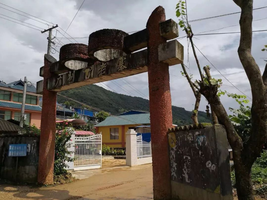 2021年廣別老寨古樹秋茶多少錢一公斤？