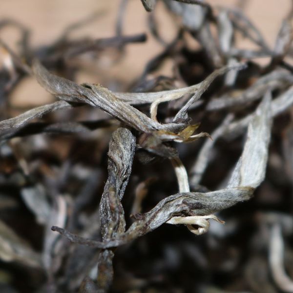 2021年帕沙古樹(shù)秋茶，你了解多少？