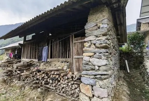 2022年景谷黃草壩古樹春茶特點(diǎn)是什么？