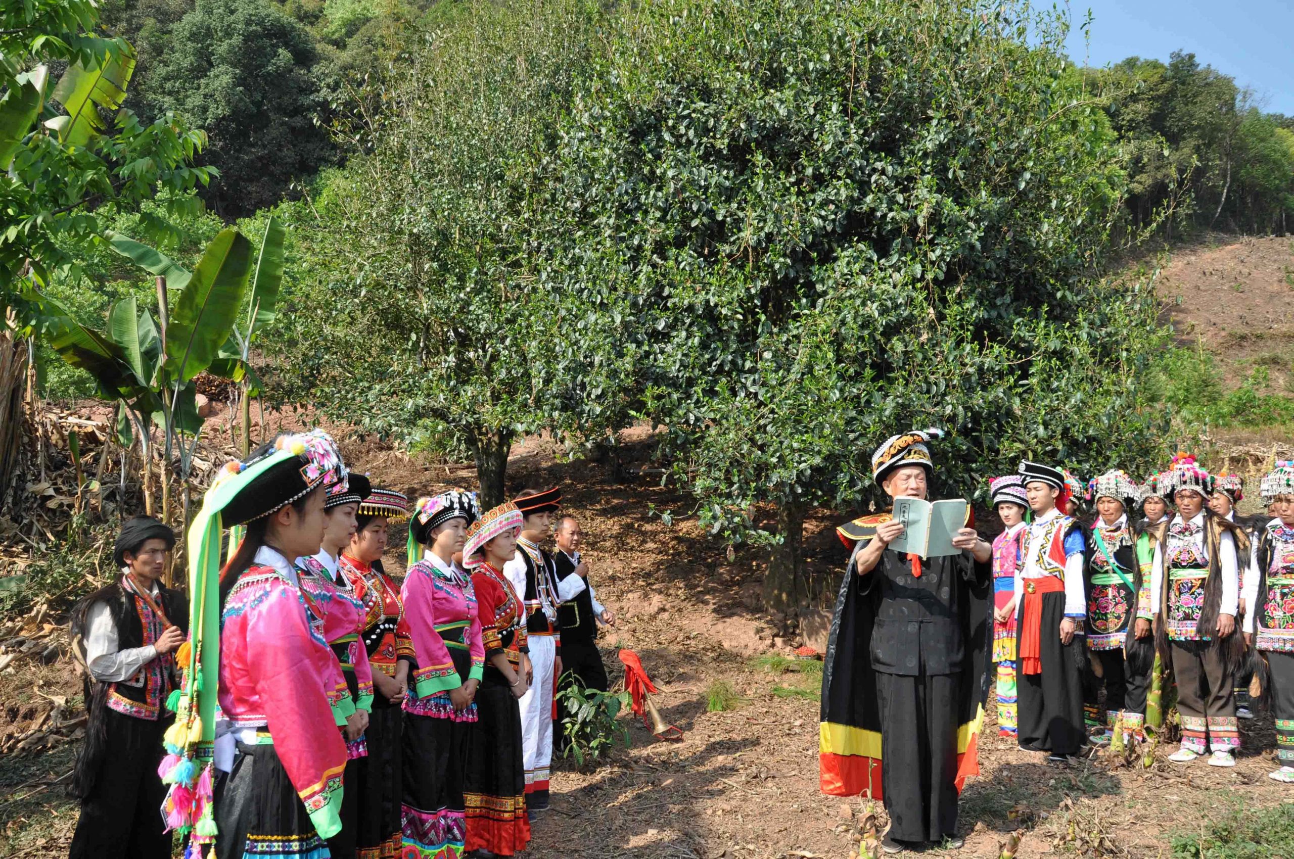 2022年景東御筆古樹春茶多少錢一公斤？