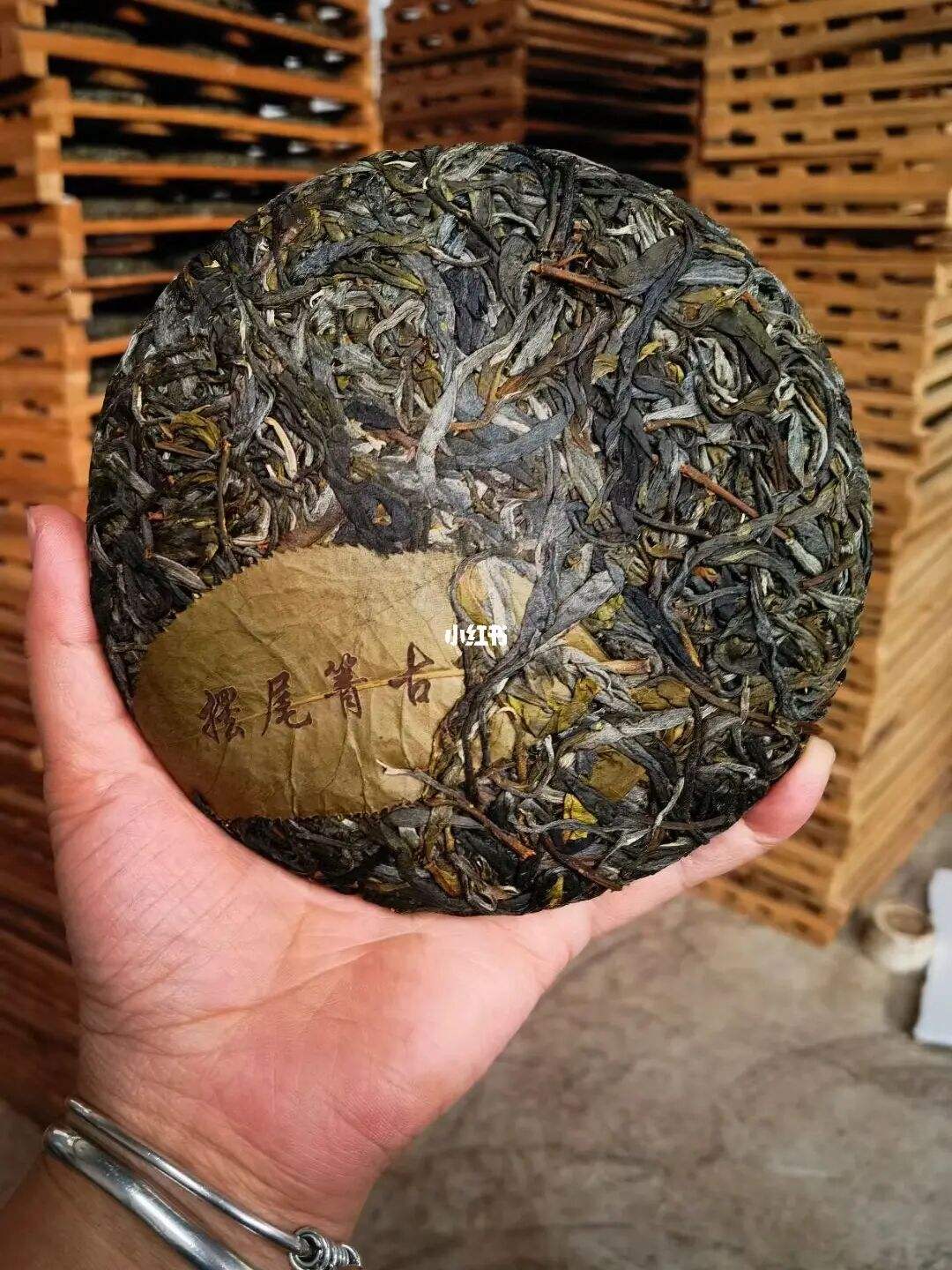 2022年寧洱 擺尾箐古樹春茶價(jià)格？