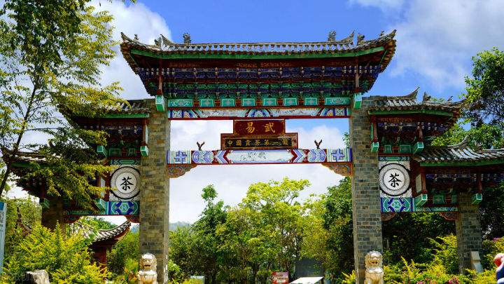 2022年易武正山在哪？易武正山是什么意思？