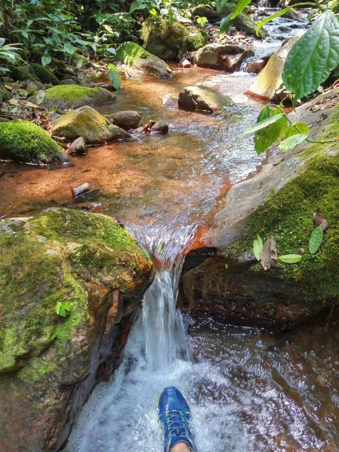 2022年銅箐河古樹春茶多少錢一公斤？