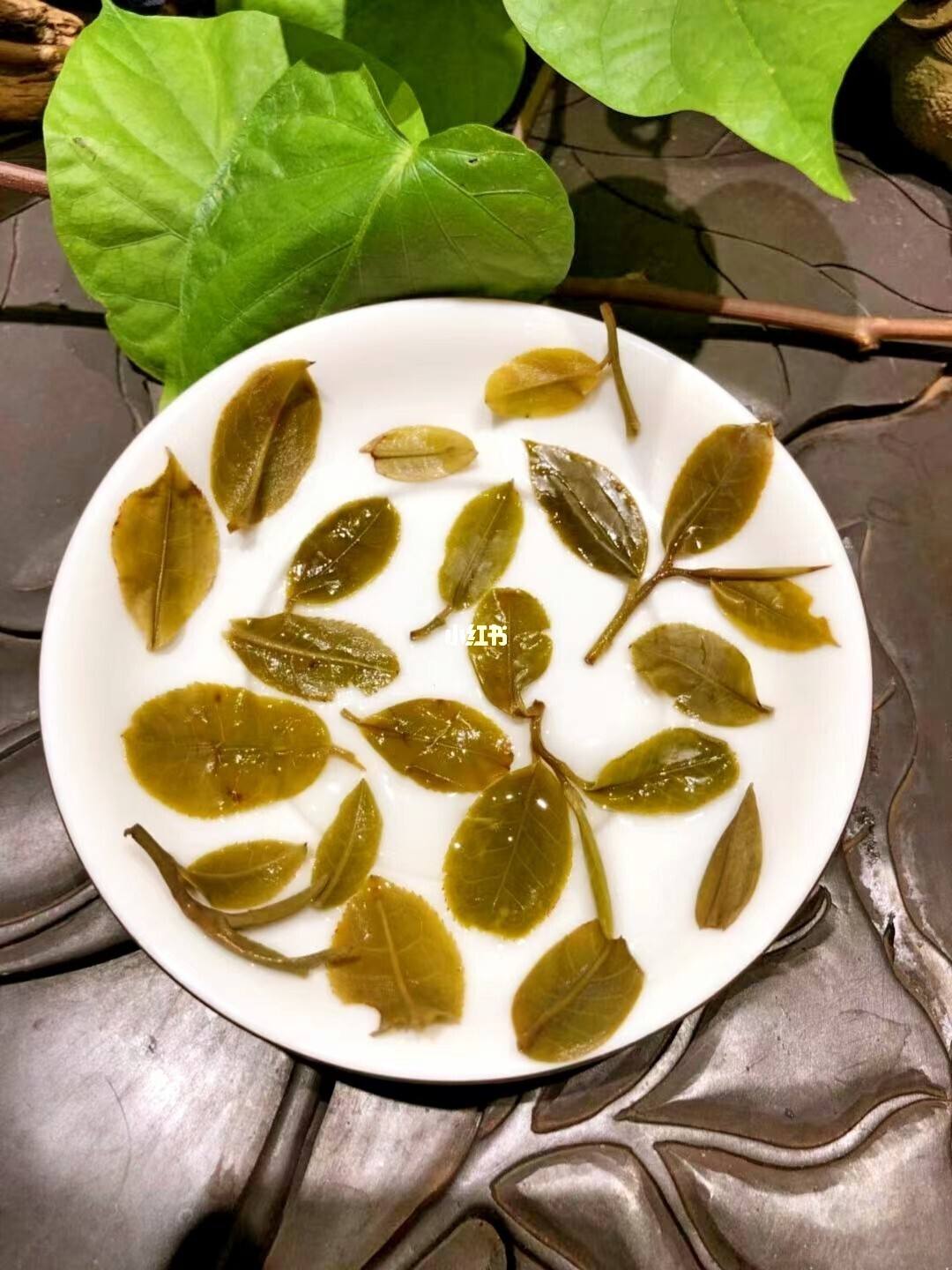 2022年倚邦貓耳朵古樹春茶多少錢一公斤？