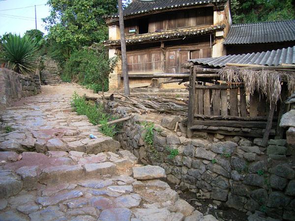 2022年蠻磚古樹春茶特點？