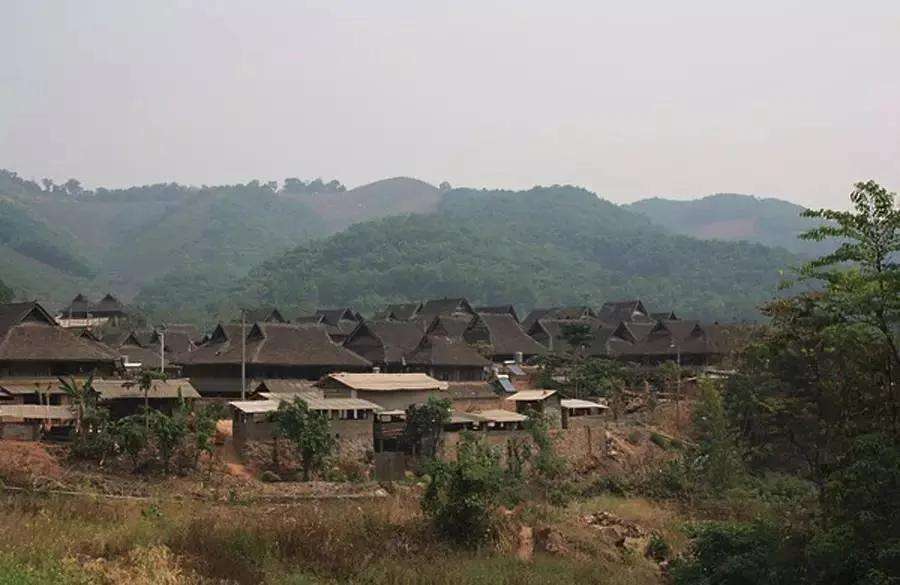 2022年革登古樹春茶特點(diǎn)？