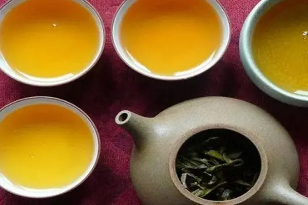 2022年普洱茶怎么泡法才正確？