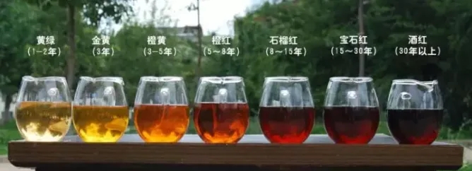 2022年普洱茶的茶湯湯色要怎么描述？