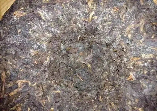 2022年普洱茶受潮發(fā)霉了怎么辦？