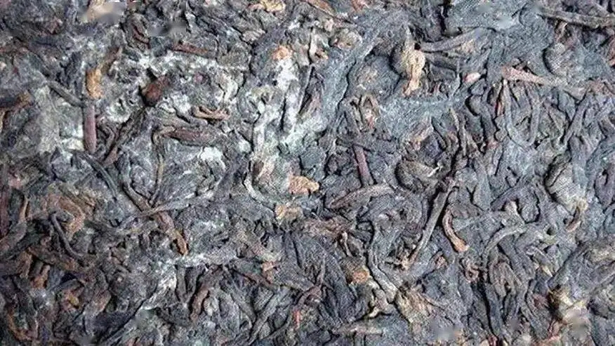 普洱茶怎么樣才算發(fā)霉？