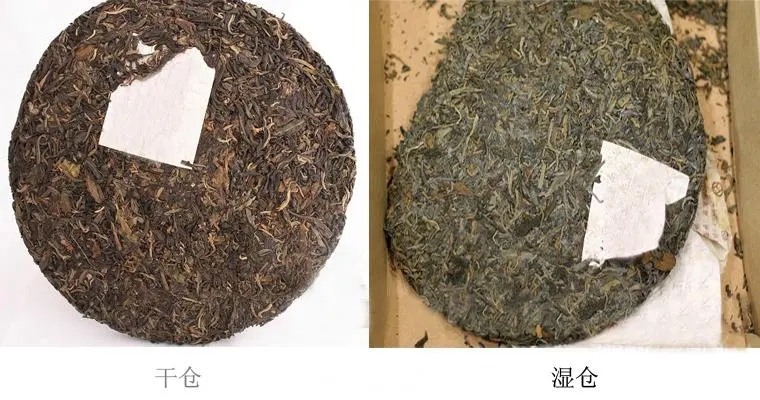 普洱茶怎么分辨干濕倉？