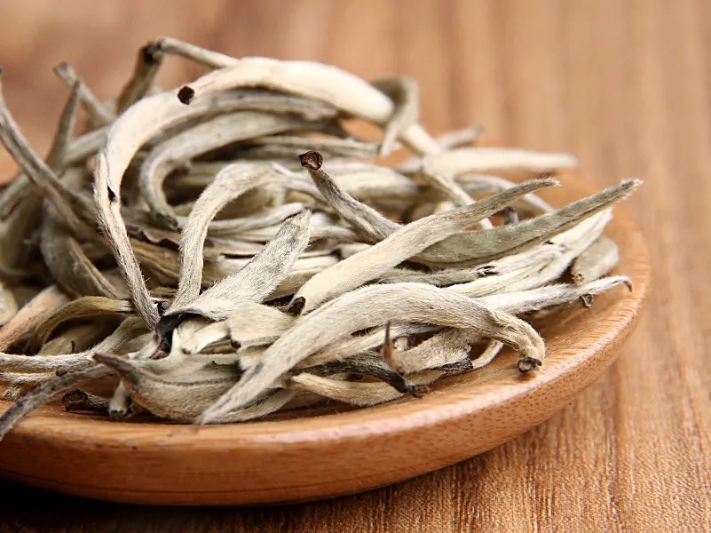 福鼎白茶、安吉白茶、云南月光白“三白”的區(qū)別