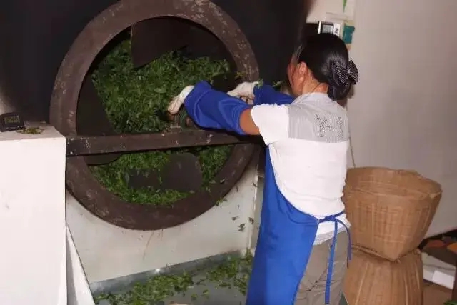 手工殺青與機(jī)器殺青的區(qū)別！