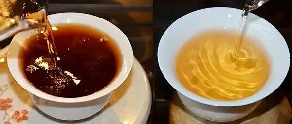 普洱茶湯怎么也會“出油”？