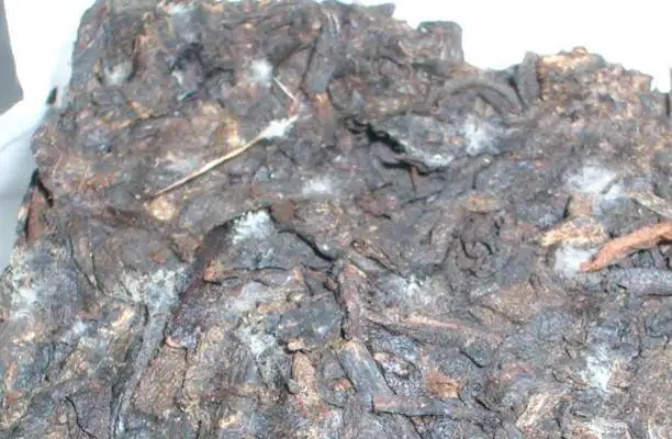 ?普洱茶發(fā)霉了怎么辦？教你妙招應(yīng)對發(fā)霉的普洱茶！