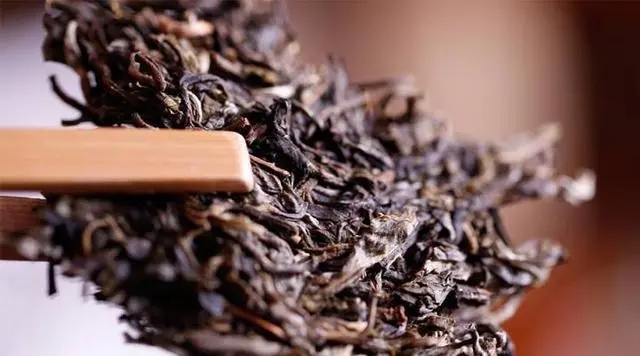 普洱生茶好還是普洱熟茶好喝？如何挑選適合自己的普洱茶？