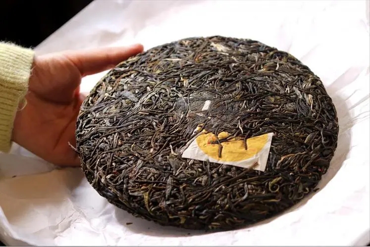 犀牛塘 | 古韻留香，帕沙之王