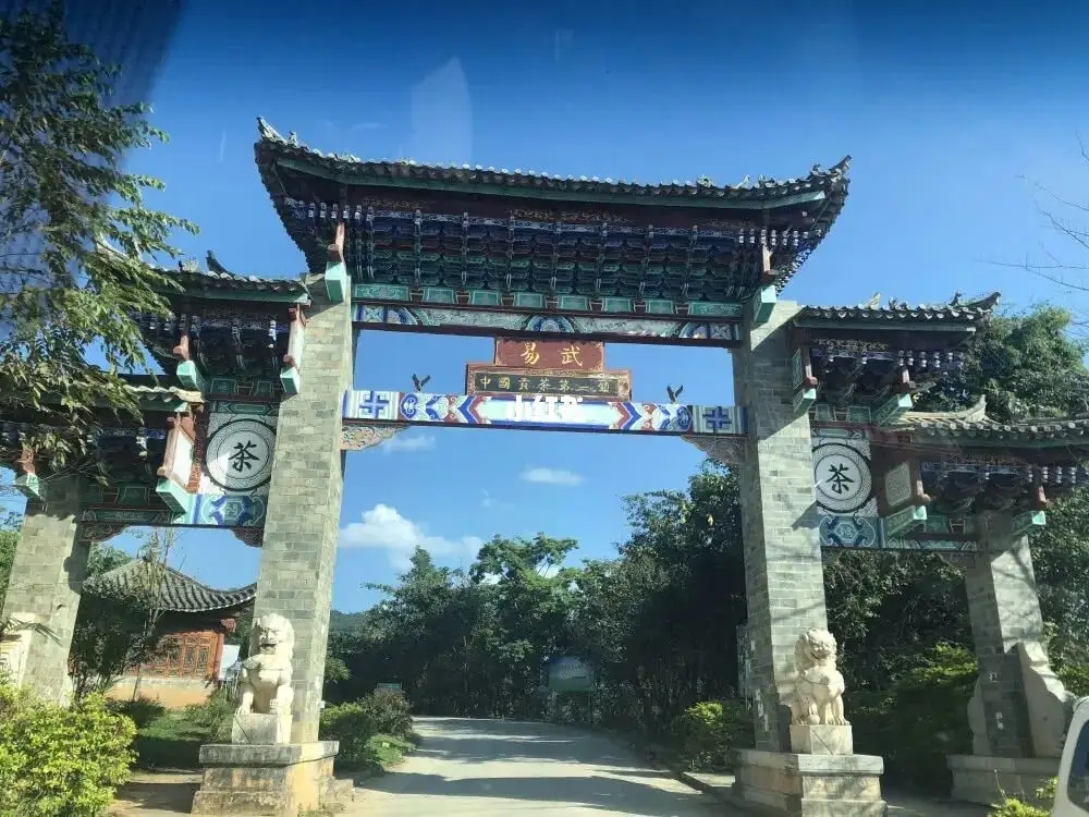 古樹(shù)茶年份越老，茶葉就越好嗎？影響茶葉品質(zhì)的因素有哪些？