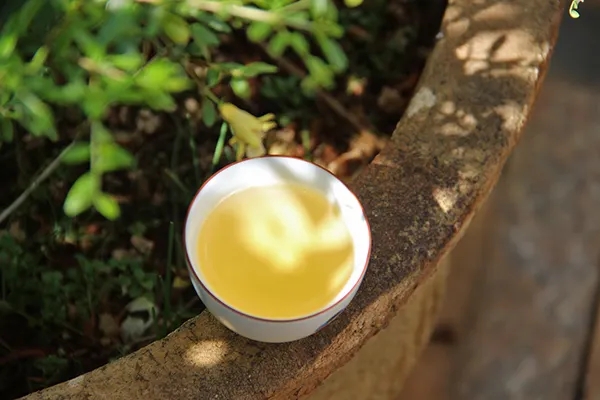 普洱茶越苦澀就代表品質(zhì)越好嗎？