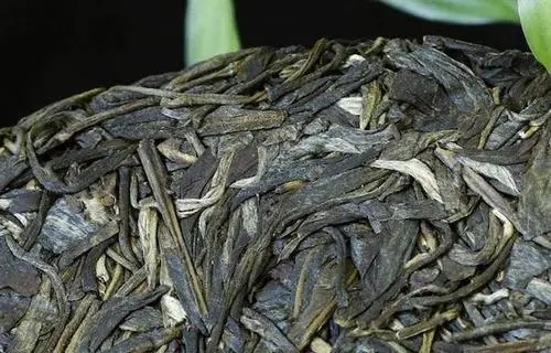 喝普洱茶，一定要喝老茶嗎？